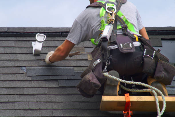 Best Roof Moss and Algae Removal  in Mill Bay, AK